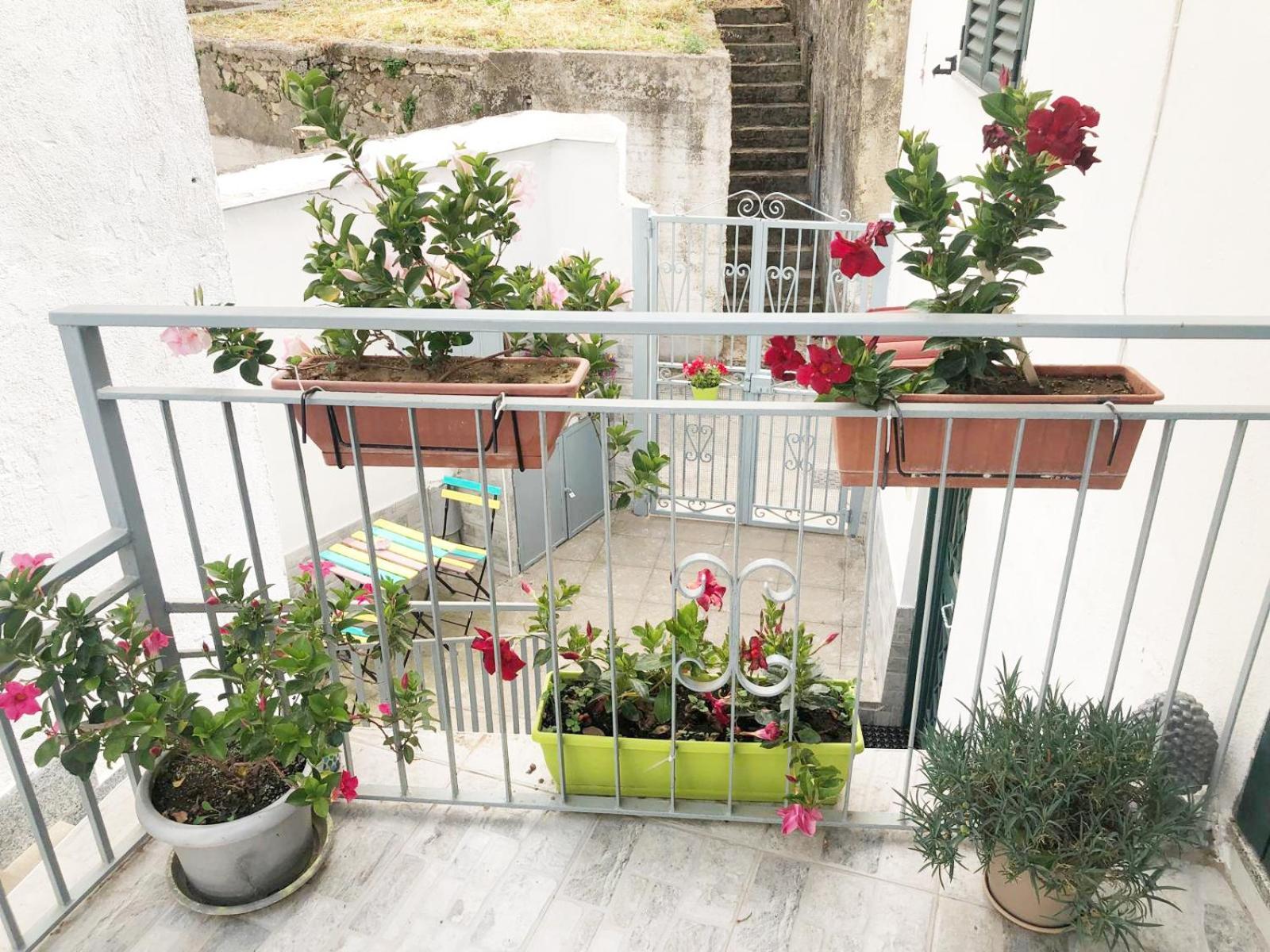 Amalfi Coast Casa Vacanze Marino ตรามอนติ ภายนอก รูปภาพ
